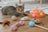 Best Curated Pet Toys for Cats: Our Top Picks