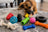 Durable Toys for Aggressive Chewer Dogs: Top 8 Picks