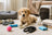Essential Supplies for New Puppy Owners: A Complete Guide