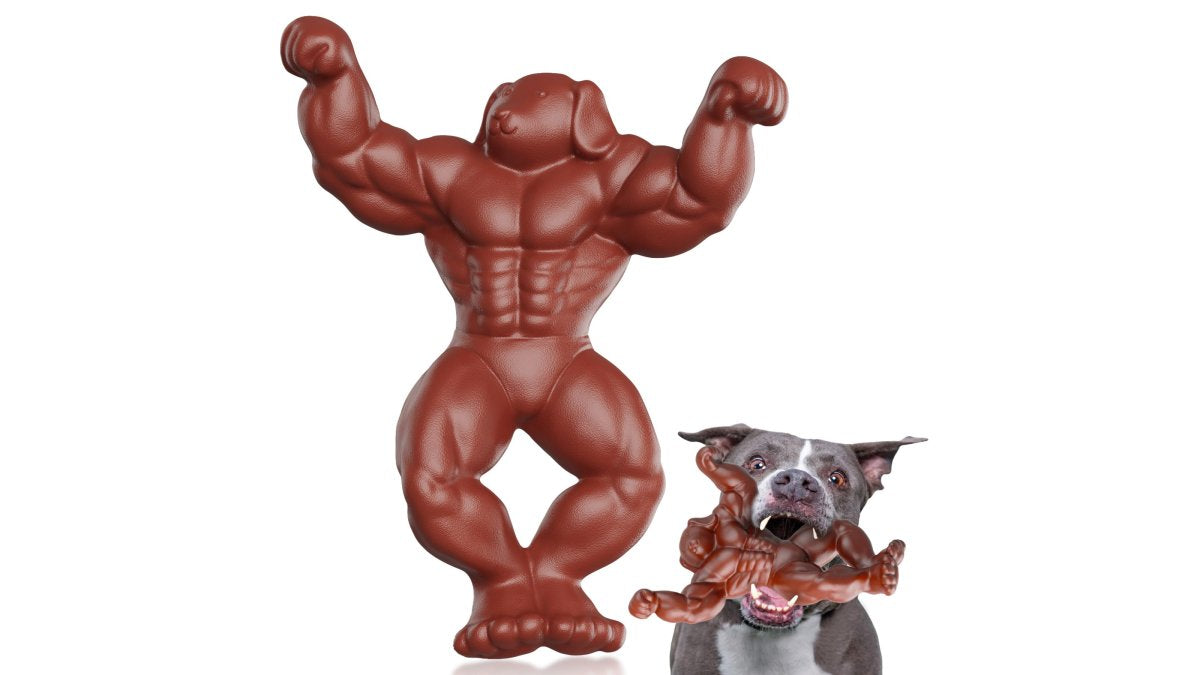 How to Choose Durable Dog Toys: A 2026 Guide