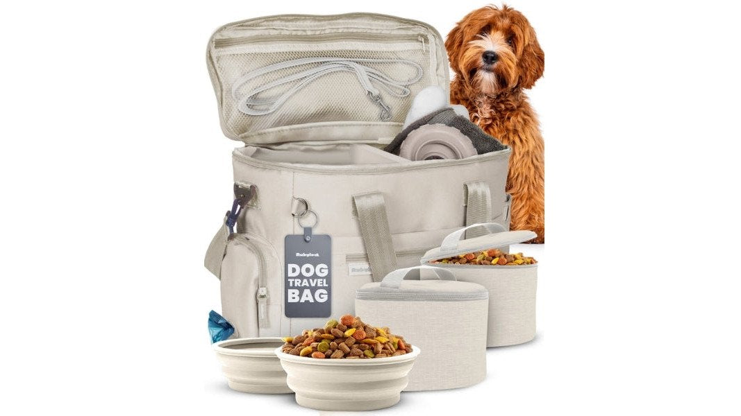 Curated Pets Alternative for Dog Owners: 2026 Guide
