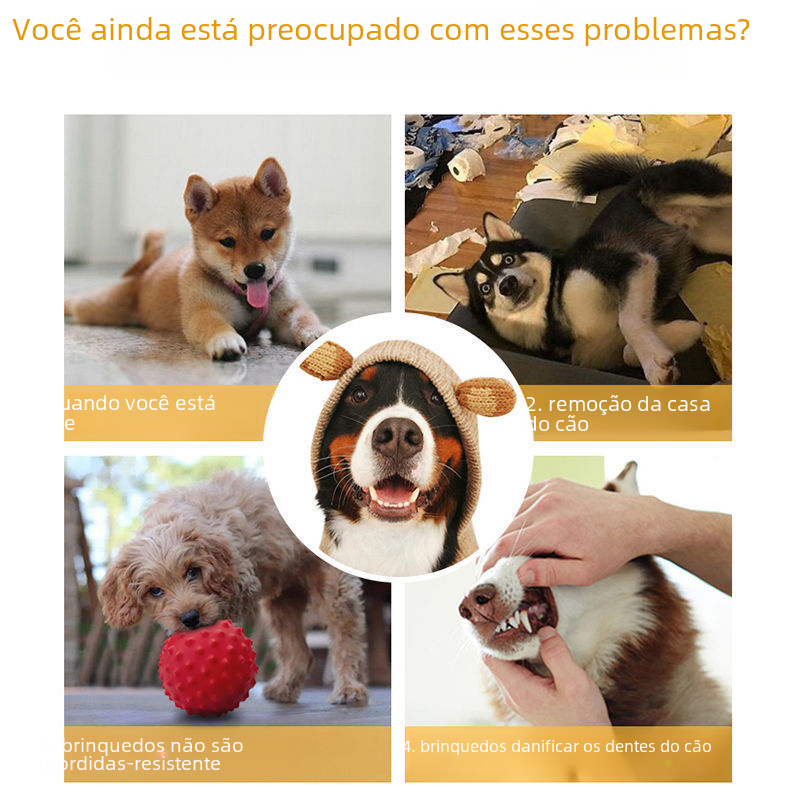 Interactive Moving Ball for Dogs & Cats