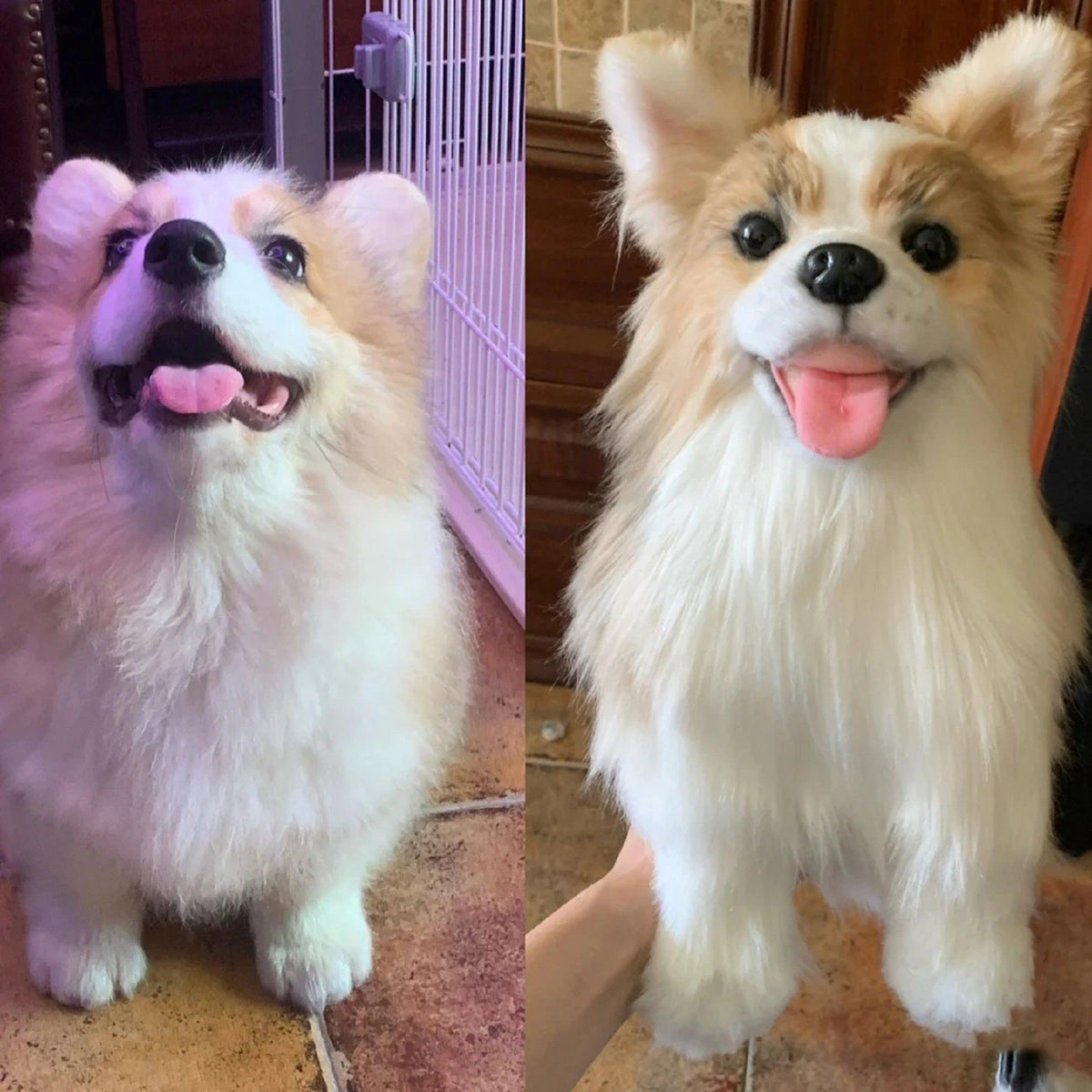 Custom Pet Plush from Photo