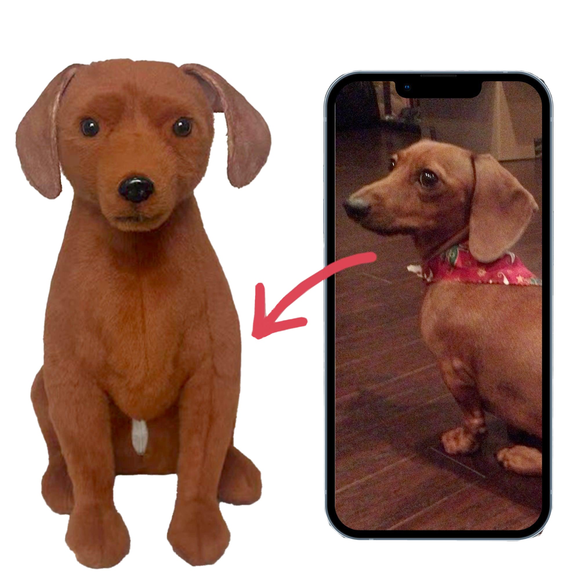 Custom Pet Plush from Photo