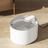 Pet Water Fountain