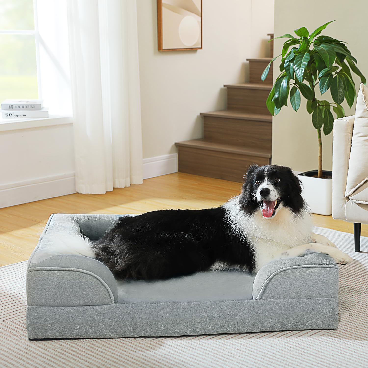 Orthopedic Dog Bed