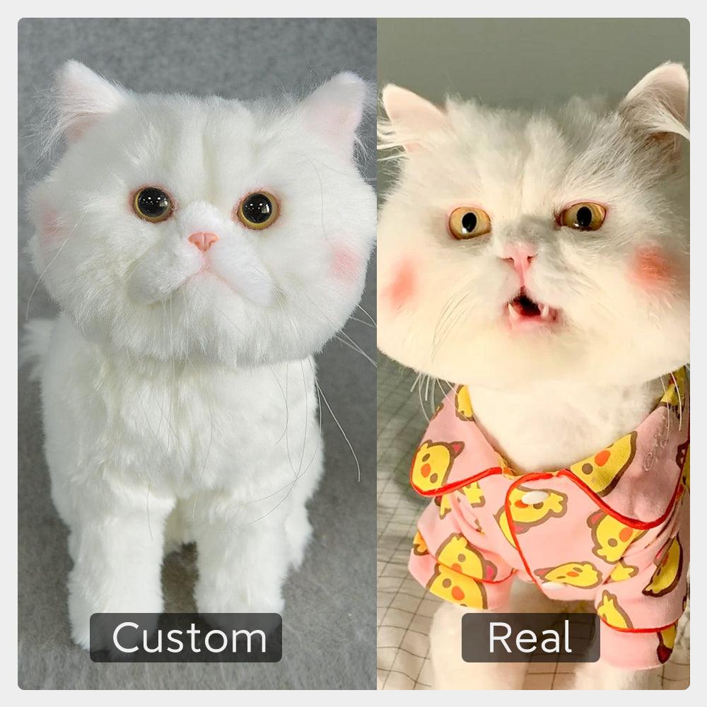 Custom Pet Plush from Photo