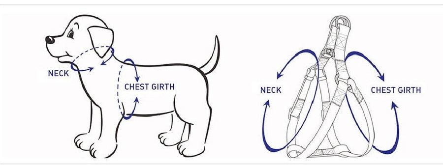 5-Piece Step-In Dog Harness and Leash Walking Set – Green