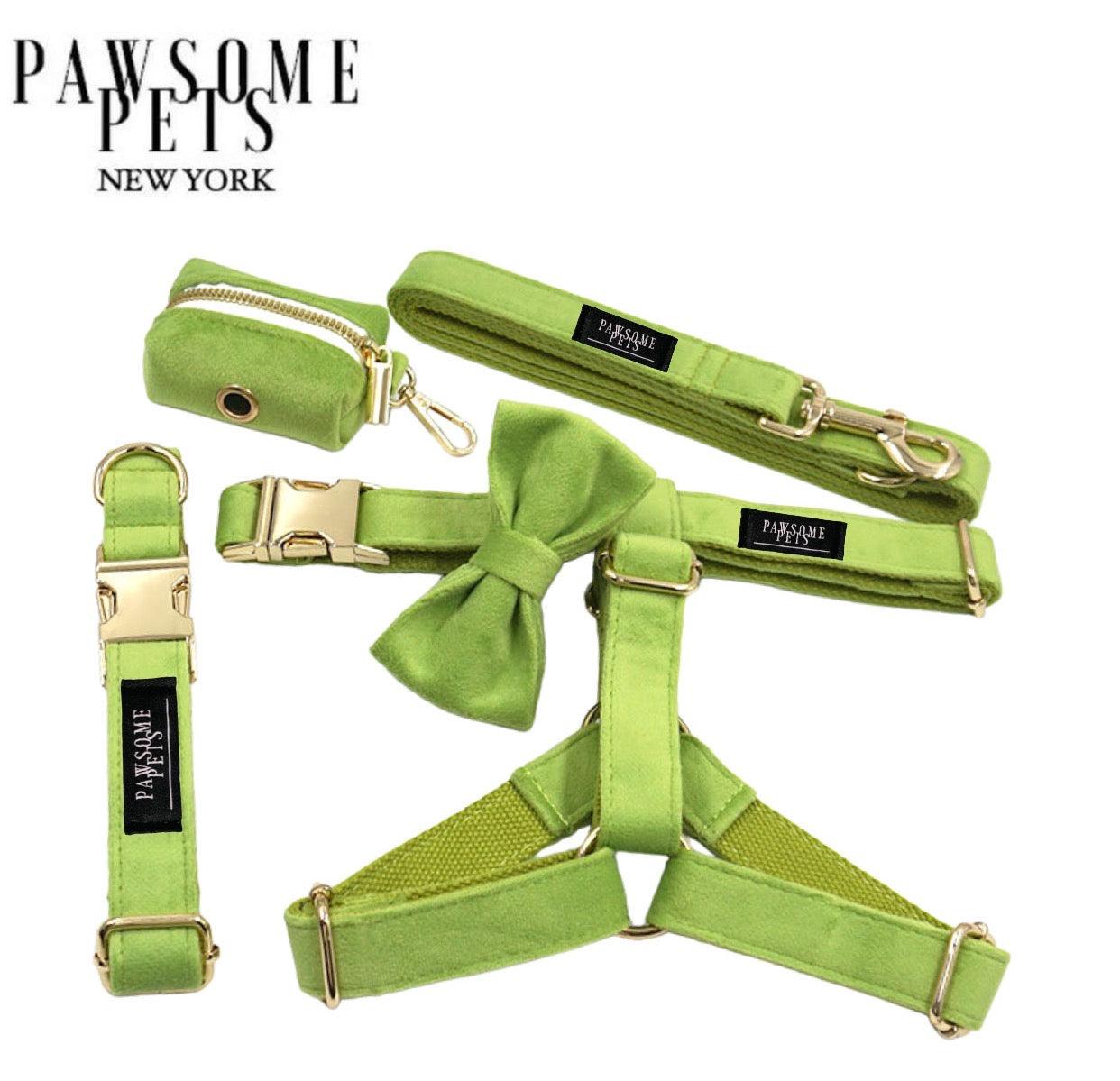 5-Piece Step-In Dog Harness and Leash Walking Set – Green