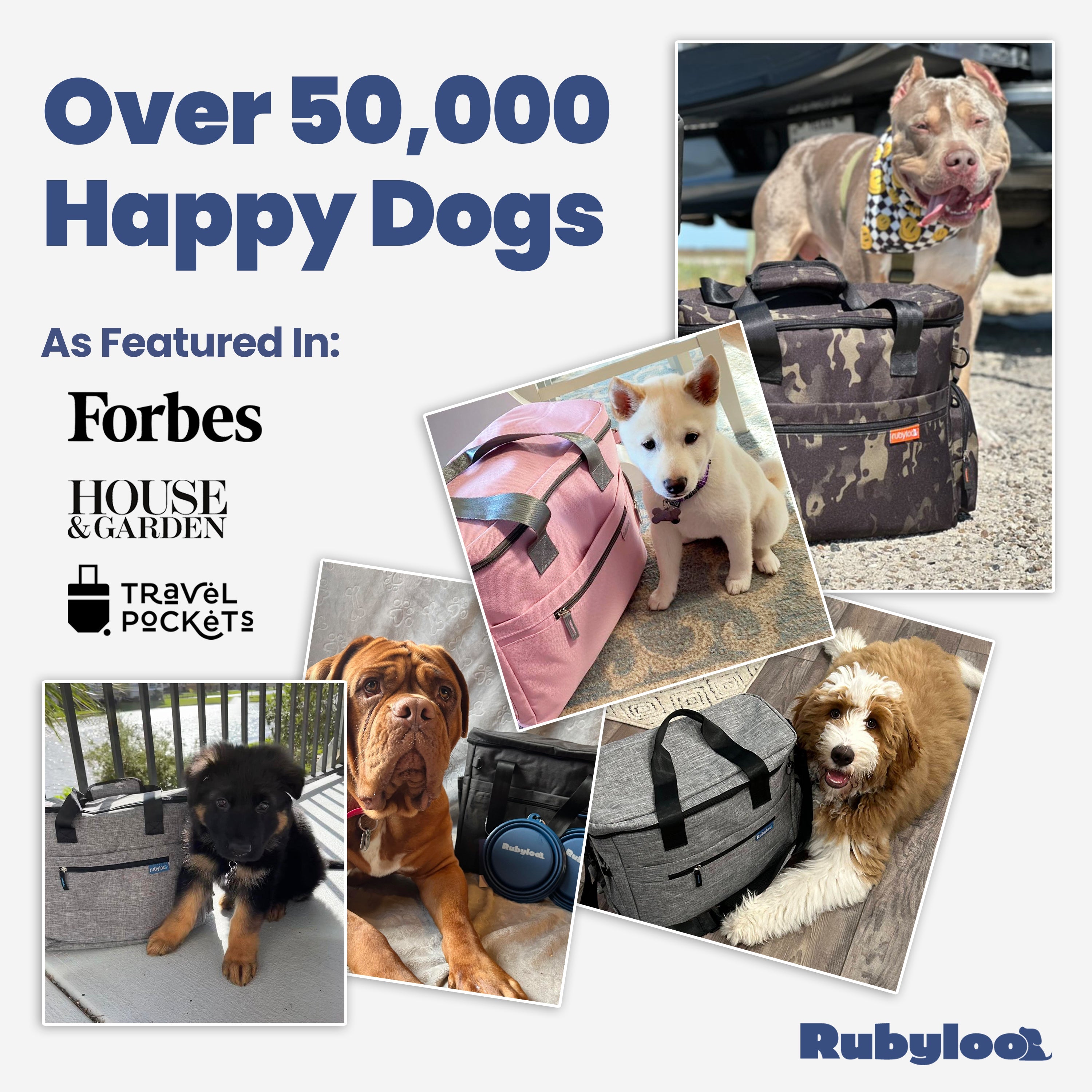The Original Doggy Bag™ – Dog Travel Bag
