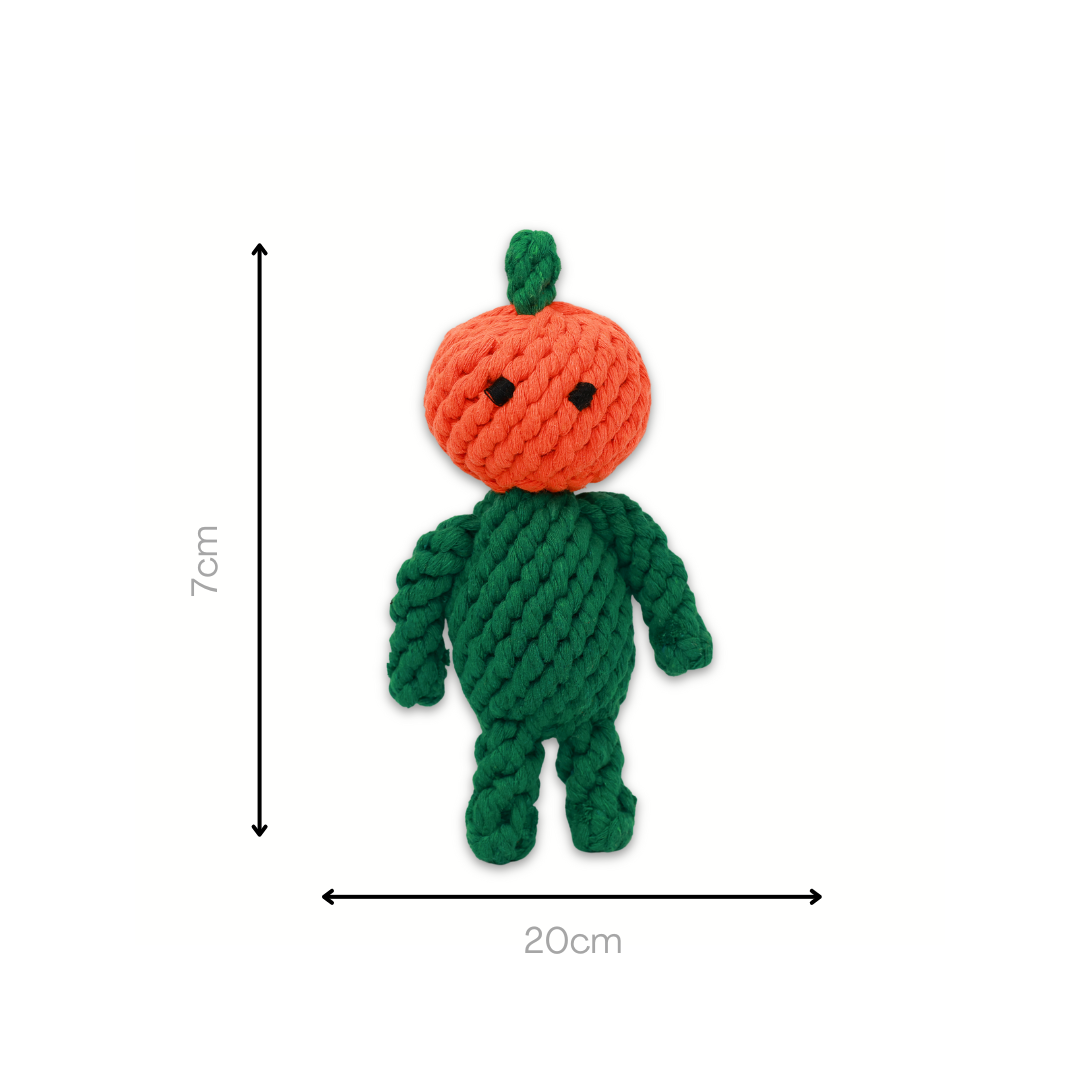 Handcrafted Rope Chew Toy for Dogs - Adam the Pumpkin