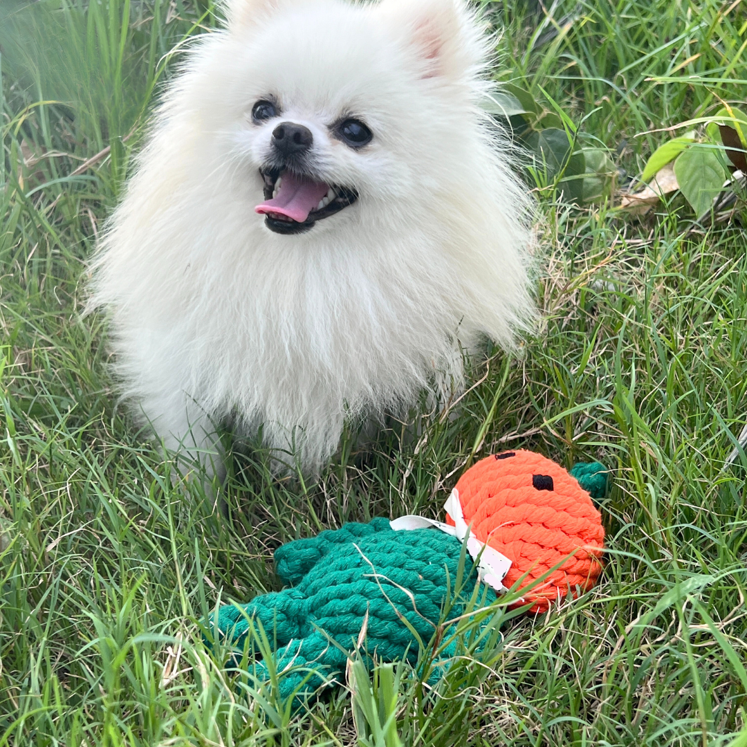Handcrafted Rope Chew Toy for Dogs - Adam the Pumpkin