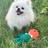 Handcrafted Rope Chew Toy for Dogs - Adam the Pumpkin