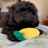 Handcrafted Pineapple Rope Toy