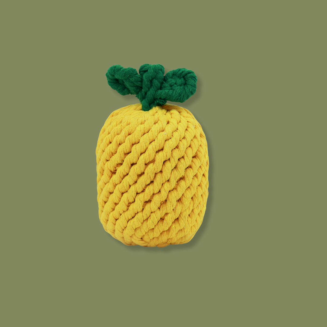 Handcrafted Pineapple Rope Toy