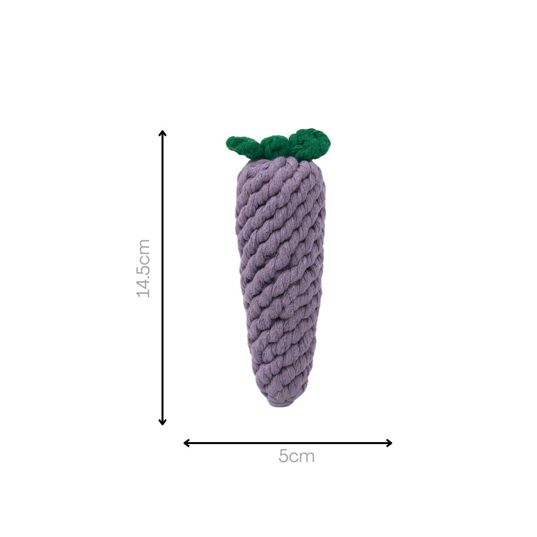 Handcrafted Eggplant Rope Toy
