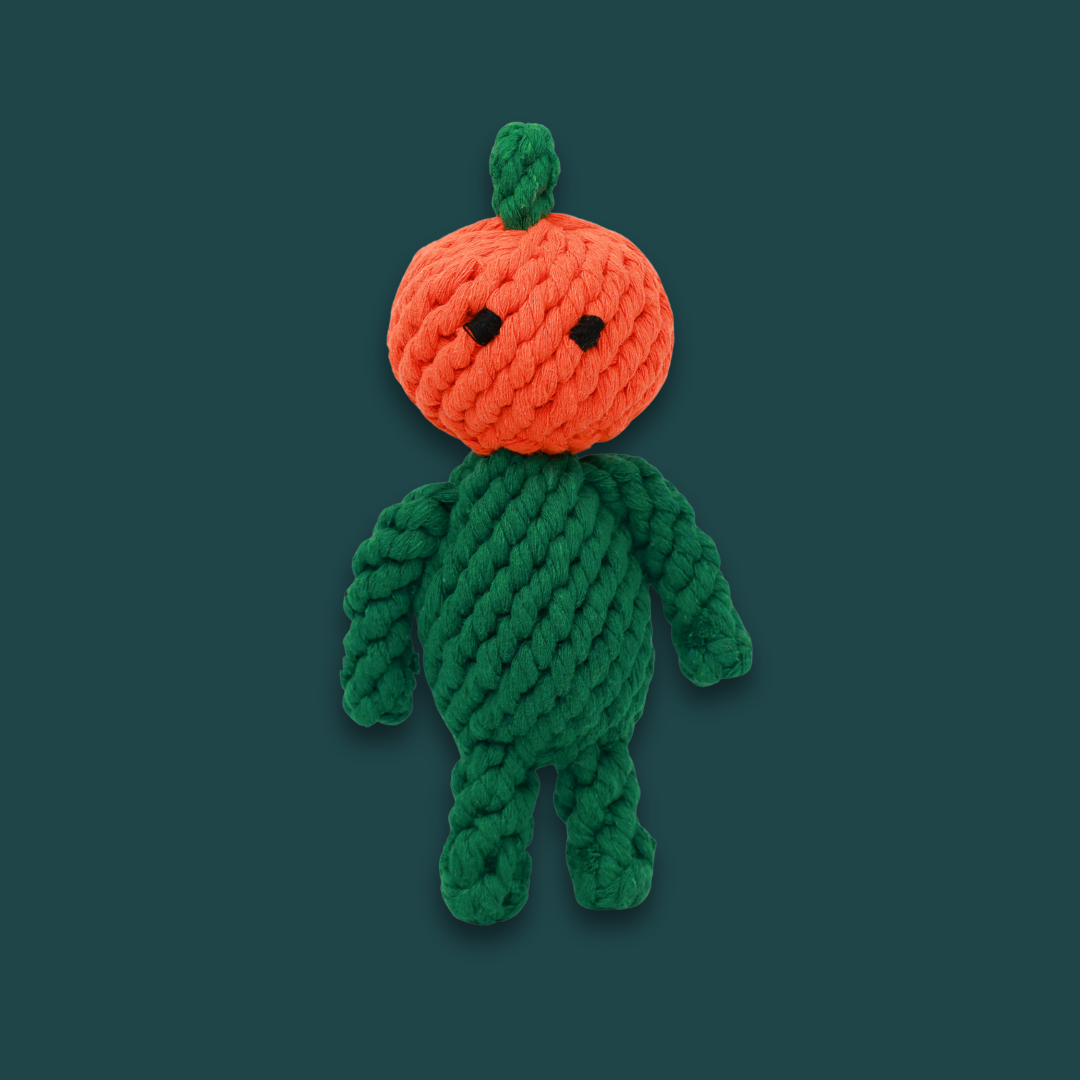 Handcrafted Rope Chew Toy for Dogs - Adam the Pumpkin