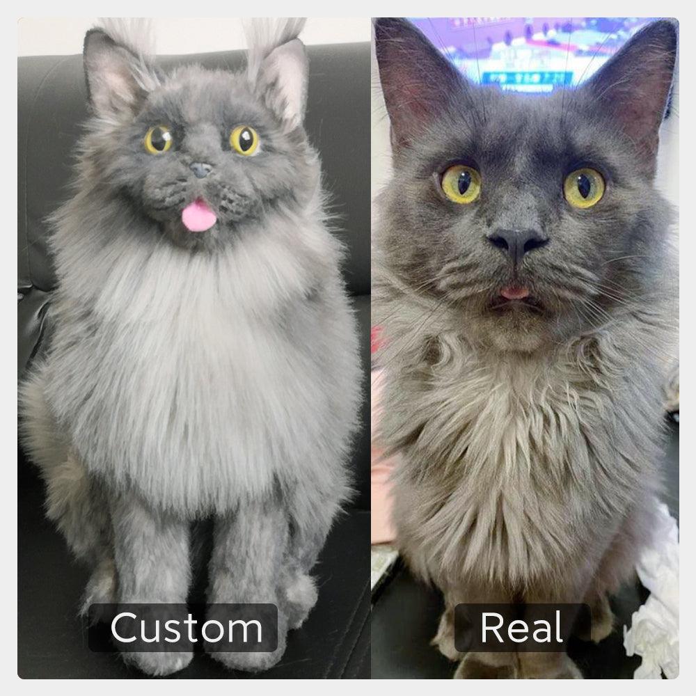 Custom Pet Plush from Photo