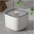 Smart Water Dispenser