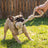 Hemp Tug Toy | Monkey Fist