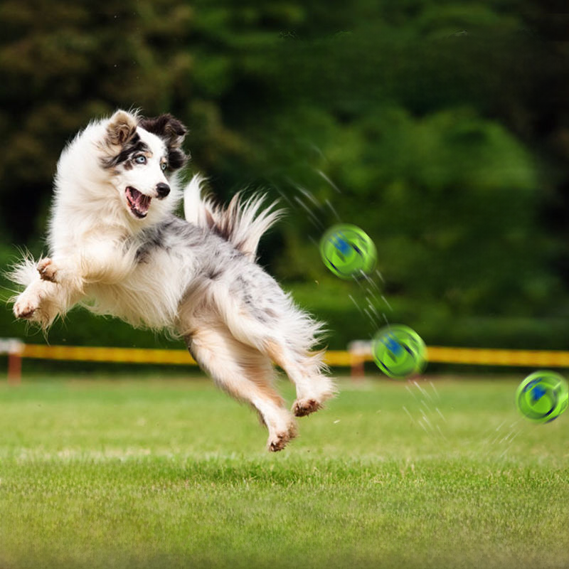 Interactive Moving Ball for Dogs & Cats