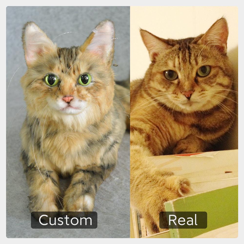 Custom Pet Plush from Photo