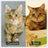 Custom Pet Plush from Photo