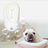 Odor Eliminator for Litter Boxes