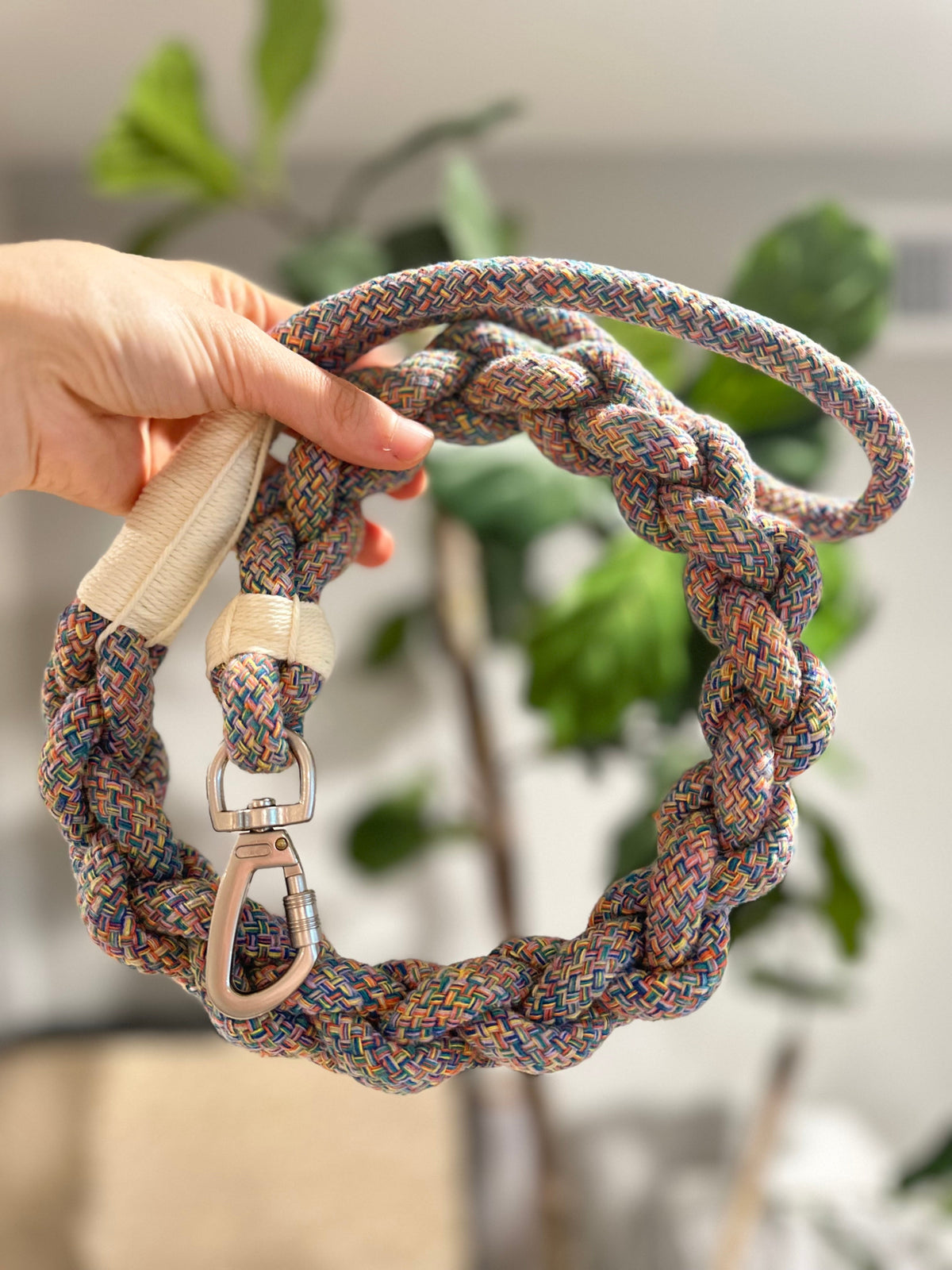 Handcrafted Rainbow Rover Dog Leash