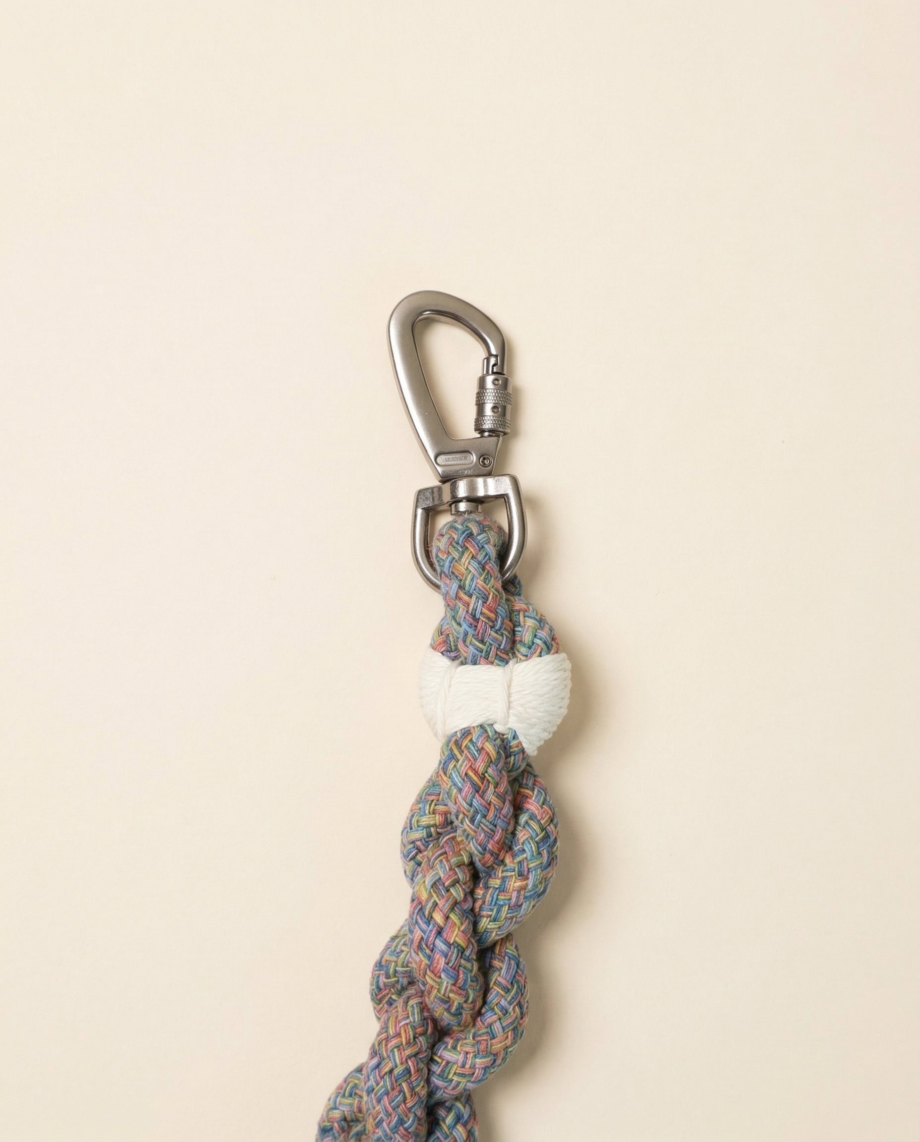 Handcrafted Rainbow Rover Dog Leash
