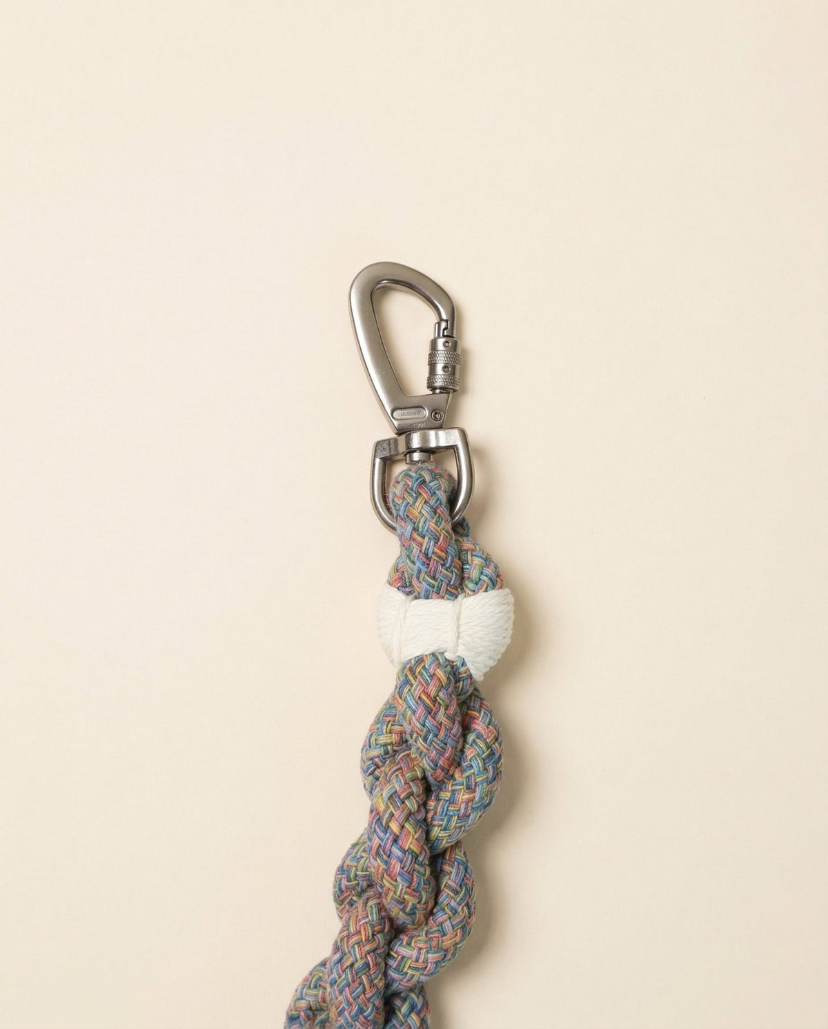 Handcrafted Rainbow Rover Dog Leash