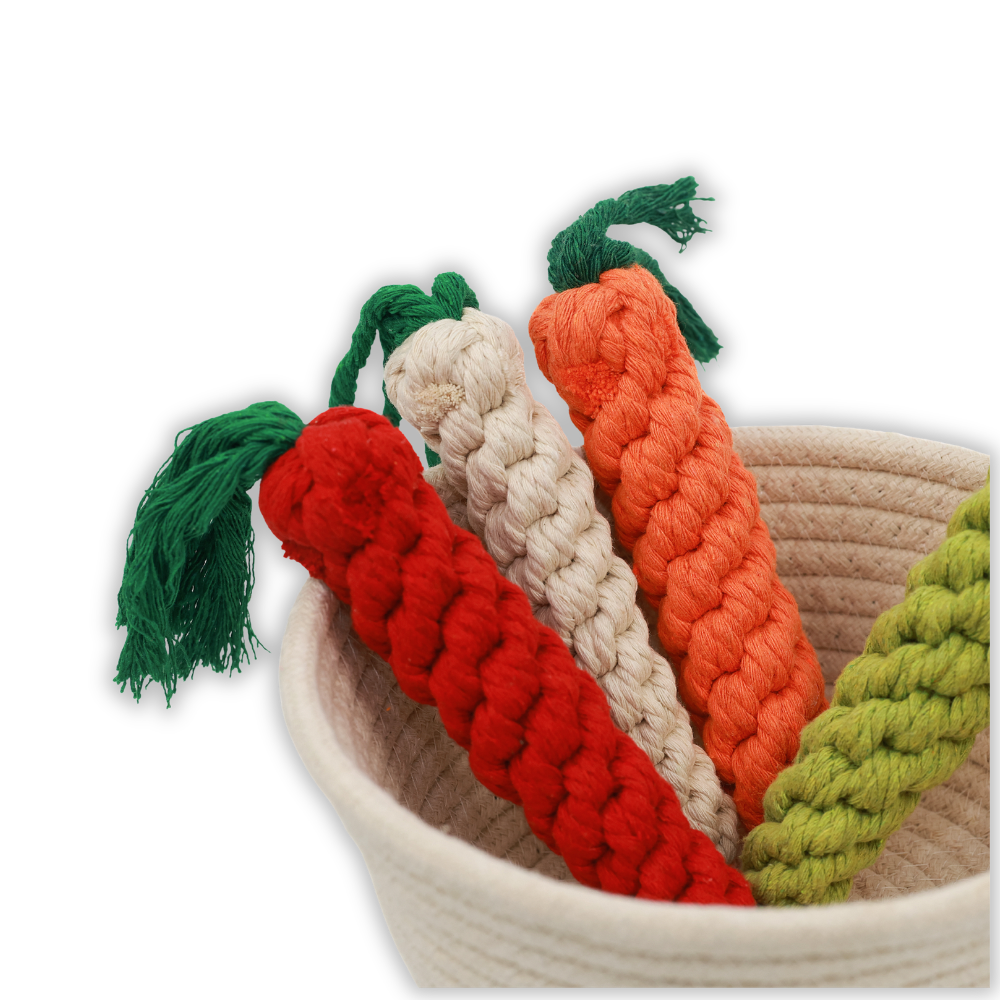 Handcrafted Carrot Rope Toys