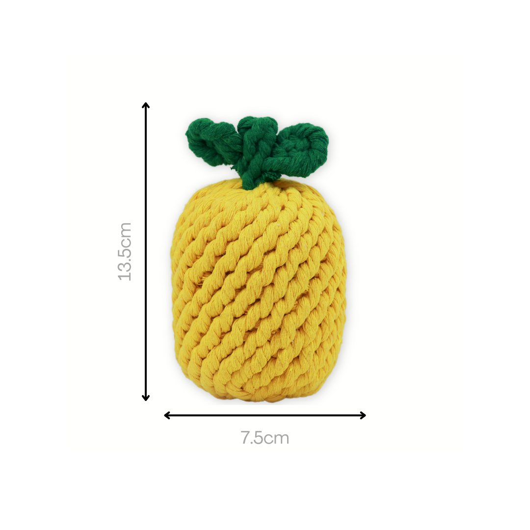 Handcrafted Pineapple Rope Toy