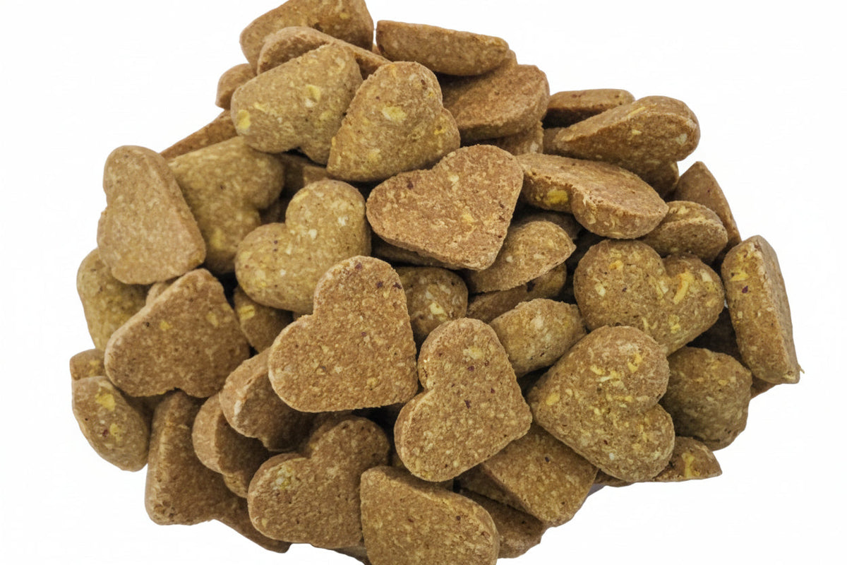 Pumpkin Ginger Sensitive Stomach Soft Chews for Dogs