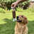 Smoked Ham Dog Toy ｜Handcrafted