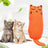 Catnip Plush Chew Toy for Cats