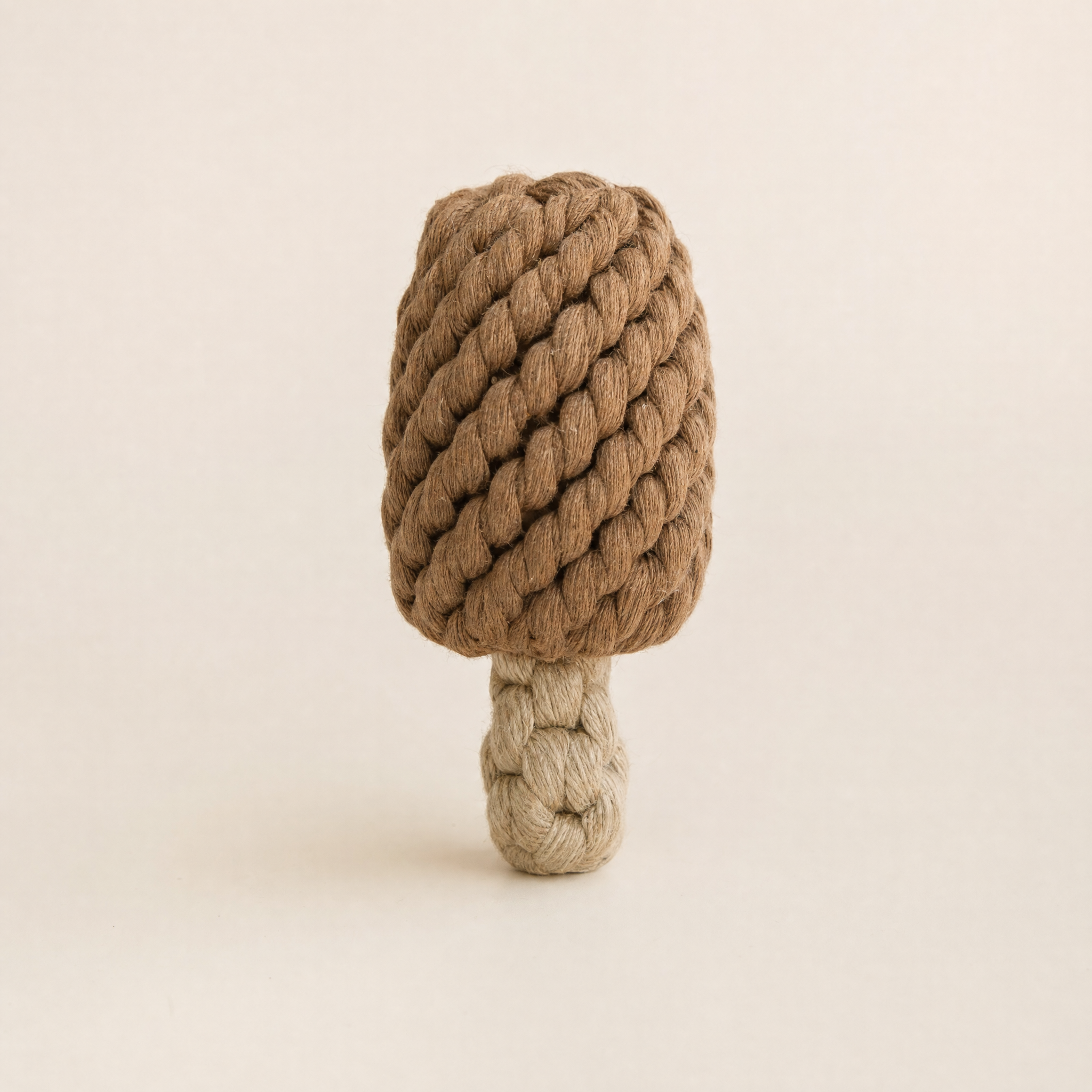 Handcrafted Popsicle Rope Toy