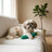 Handcrafted Cucumber Rope Tug Toy