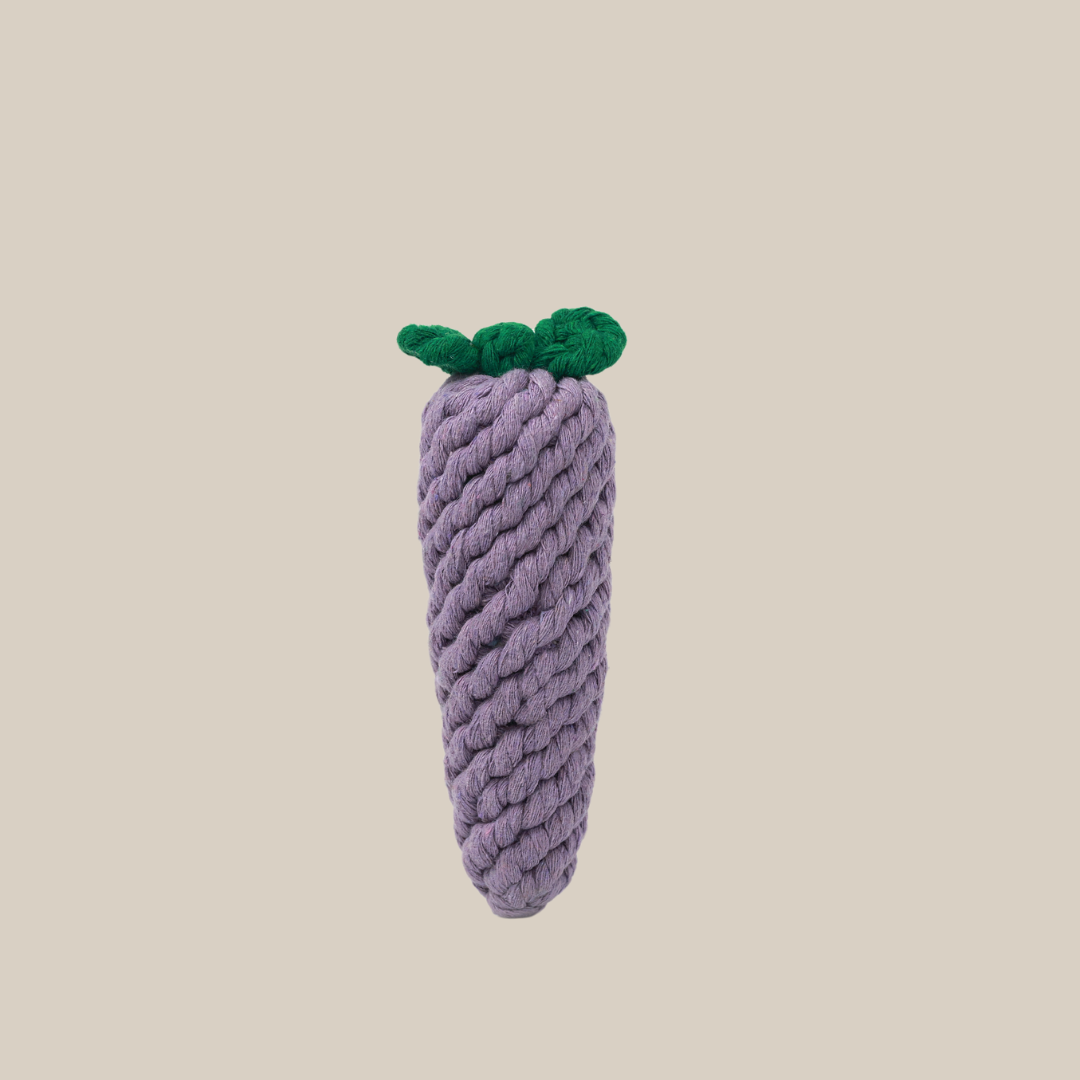 Handcrafted Eggplant Rope Toy